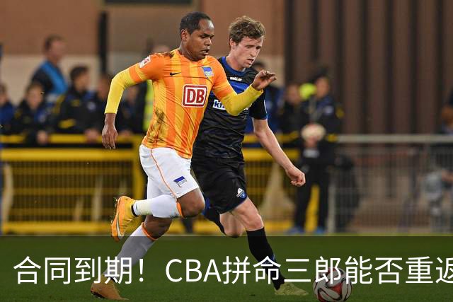 合同到期！CBA拼命三郎能否重返广东？期待辅佐徐杰、胡明轩